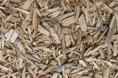biomass boilers Udny Green